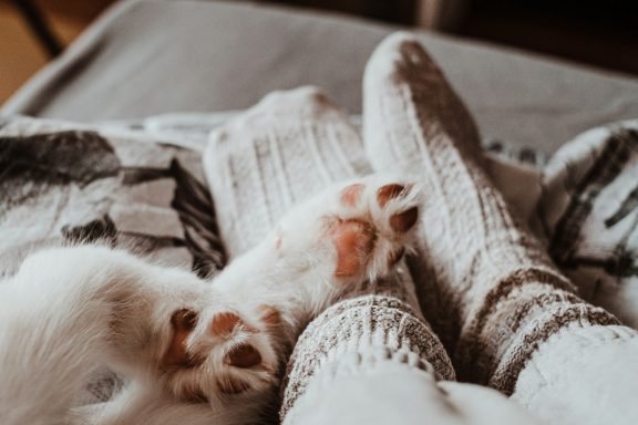 Katzenpfoten auf Menschenfüßen