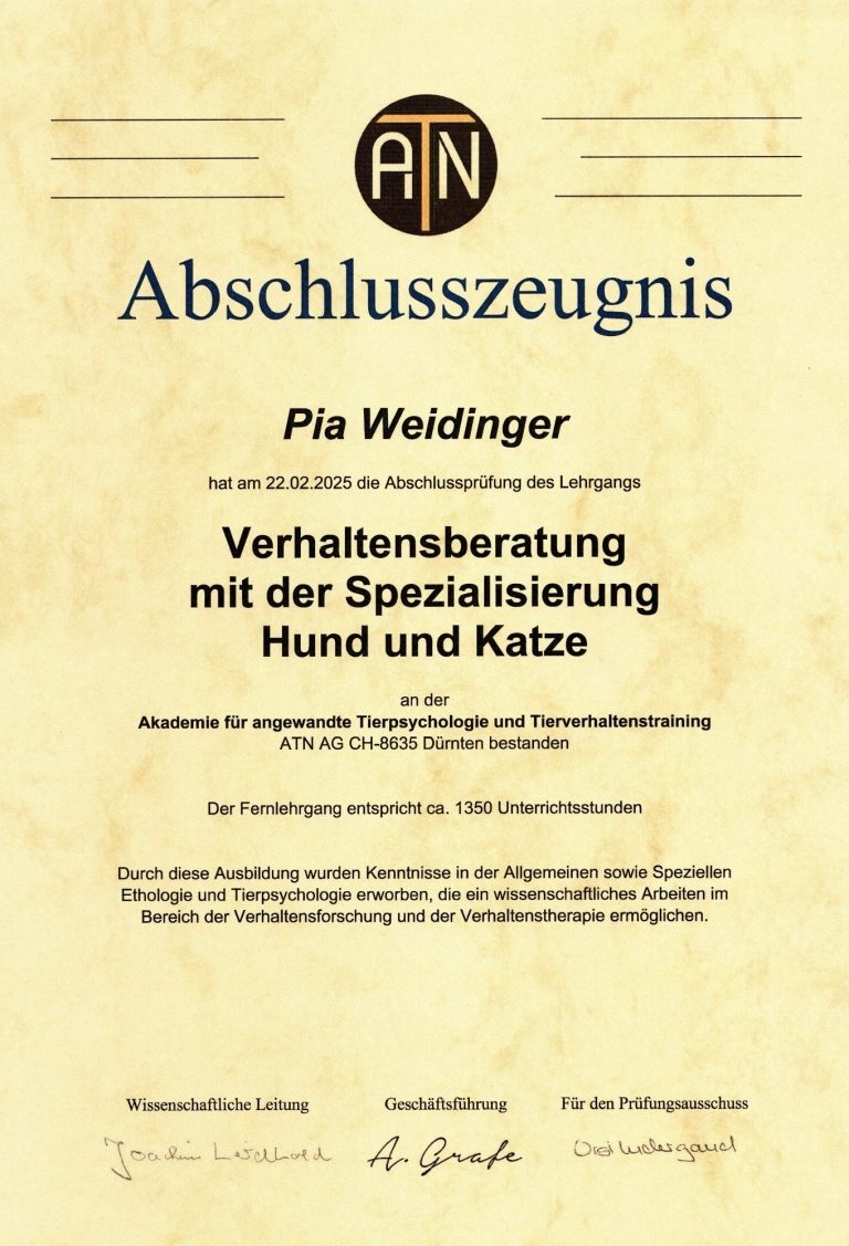 ATN Abschlusszeugnis