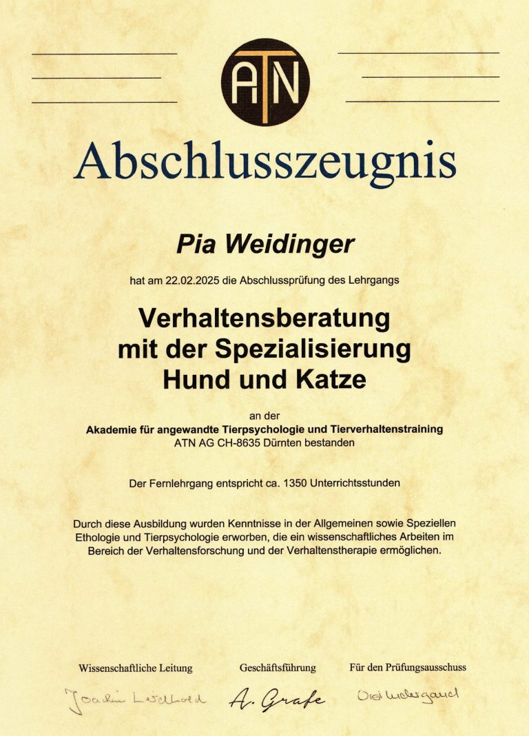 ATN Abschlusszeugnis