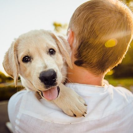 Ein Mann trägt einen Hund, der über seine Schulter nach hinten schaut