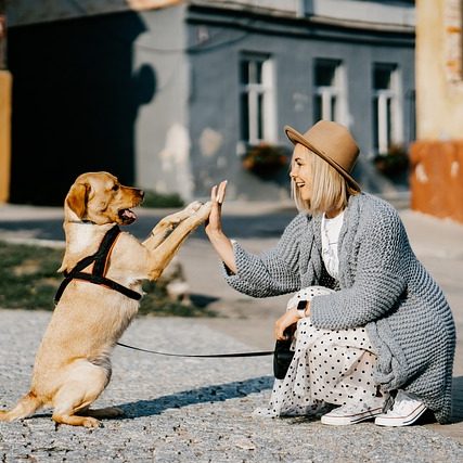 Frau und Hund geben sich High-Five